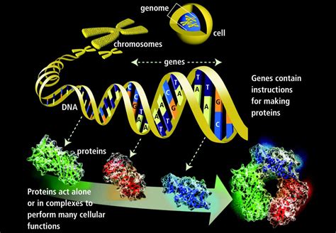  Genetics is a complex science that involves many more variables