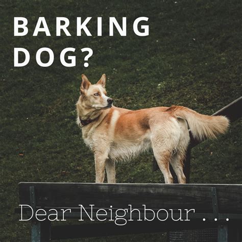  Get Your Copy Today! Someone living in a small apartment may have concerns about how a barking dog will affect the neighbors