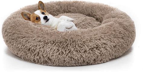  Get a dog bed that is right for their size and is soft to tempt them to get in
