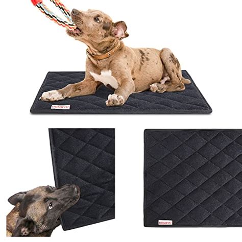  Get one that is sturdy and difficult for them to chew, like this chew-resistant pad