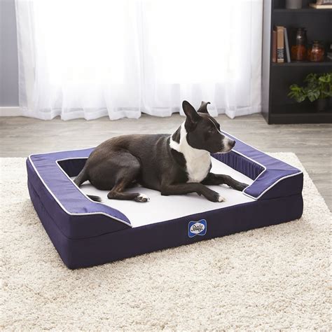  Get your dog an orthopedic bed with a side affiliate link on it so you can prop your dog up