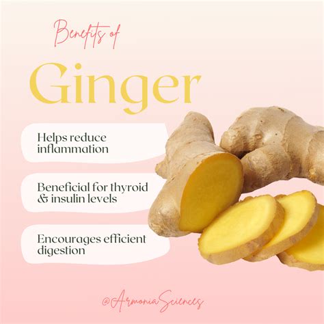  Ginger Ginger is an herb that has been used for centuries to aid in digestion and help prevent nausea and vomiting