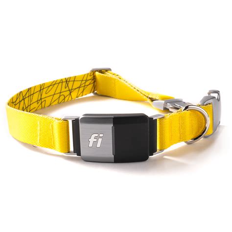  Give the Fi Dog Collar a try today! The link has been copied! You might also like
