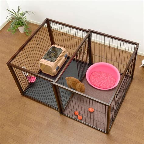  Giving your pet lots of exercise and gently promoting crate training will make them feel less stressed