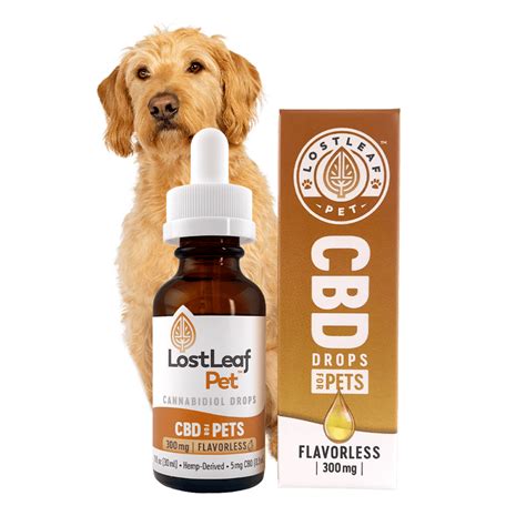  Giving your pet oral drops of CBD, or making them eat medicine disguised as a treat can be a difficult task, and the process of digestion can also cause the product to lose a bit of its efficacy