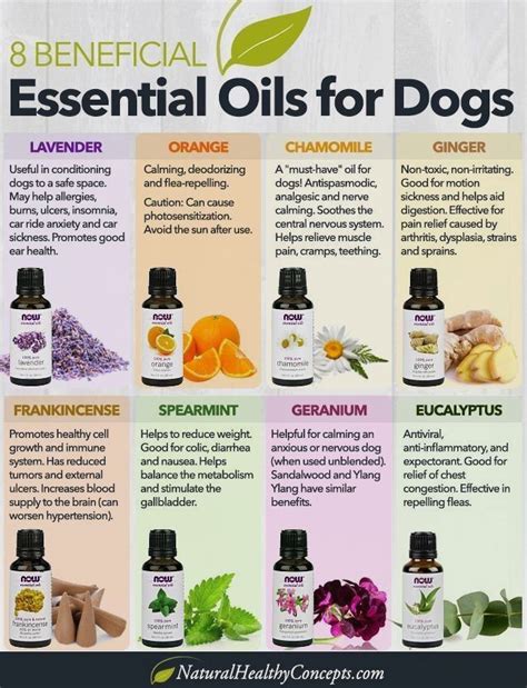  Giving your pet the calming oil before potentially stressful occasions like grooming appointments, travel, or fireworks will help keep your pet from feeling uncomfortable