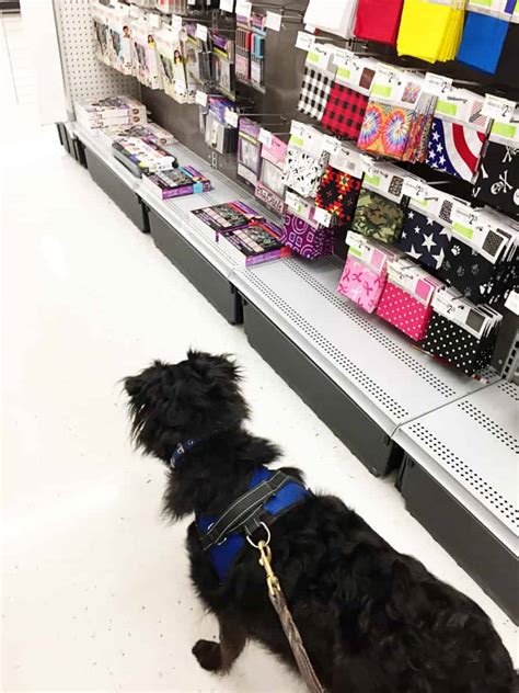  Go Shopping Rhode Island has a number of dog-friendly stores that are perfect for browsing with your dog