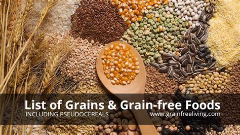  Grain Free foods have become increasingly available as food companies try to offer foods that are easier to digest with lower levels of complex carbohydrates and grains