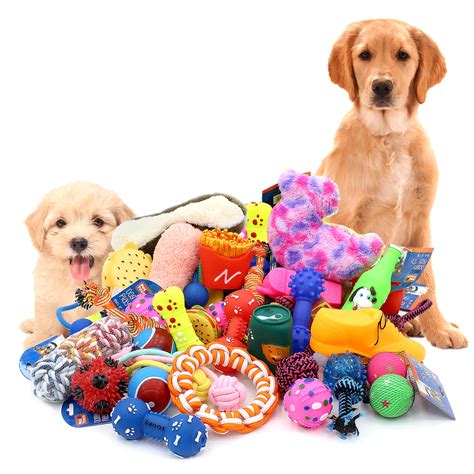  Great choice of dog toys and different training tools