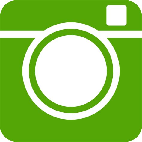  Green Instagram Luoyang
