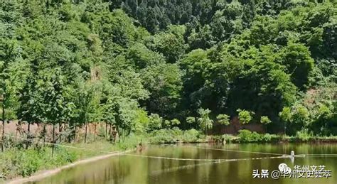  Green Video Huazhou