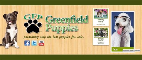  Greenfield Puppies was founded in and has been helping people find their ideal puppy ever since