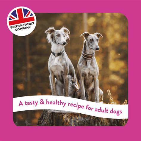  Greyhounds and Lurchers actually have very specific nutritional needs, which is why Burgess has developed food especially for them