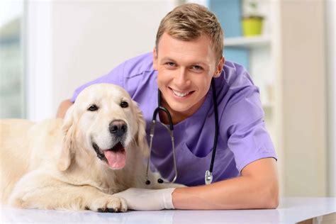  Grooming Hurray for easy care! Make sure your vet gives your pup a professional cleaning every year, too