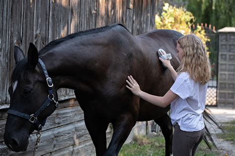  Grooming also provides a great opportunity for bonding and establishing a routine
