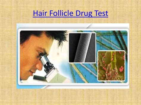  Hair follicle testing is a two-step process for detecting historical drug use that can identify substances used up to 90 days earlier
