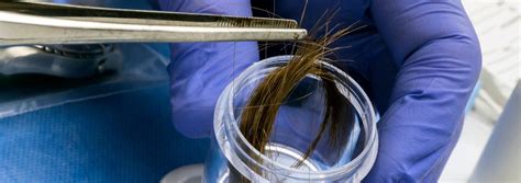  Hair tests cut a small sample of your hair usually clumps of about 50 strands each [2] X Research source
