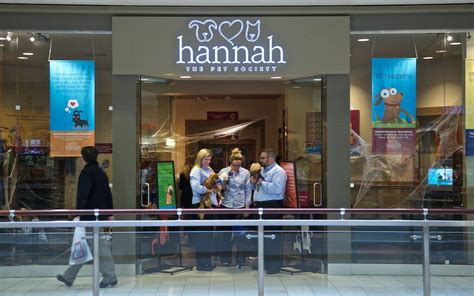  Hannah the Pet Society is the first store of a planned rollout across the country where customers can take home a dog, cat, rabbit or guinea pig and, for a monthly fee, receive food and veterinarian care in the knowledge, if it doesn