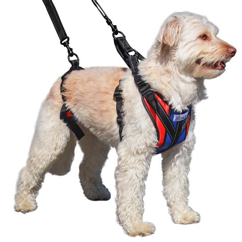  Harnesses will not come off when your dog tries to back out of them, and they let you snap a lead without affecting sensitive areas like the neck