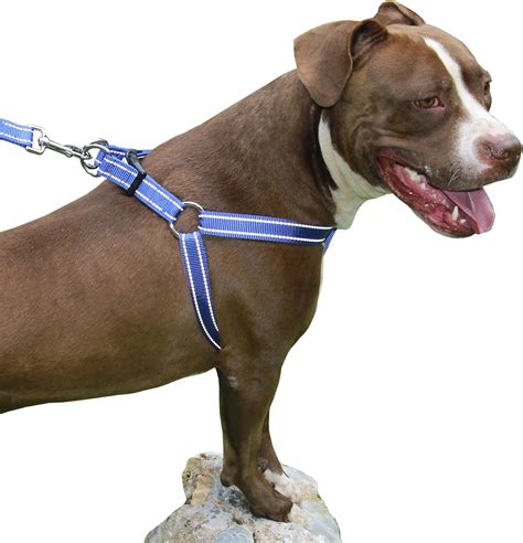  Harnesses with reflective features, such as reflective strips or stitching, help to make your dog visible to motorists, cyclists, and pedestrians in low-light conditions, reducing the risk of accidents
