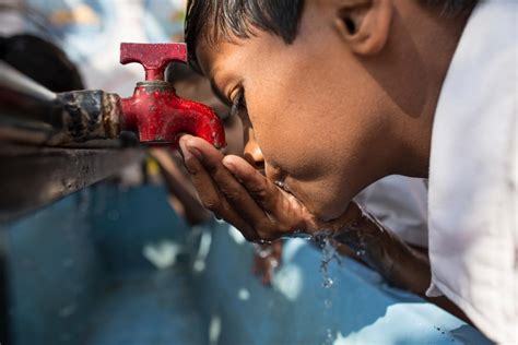  Having access to clean water at all times is also crucial