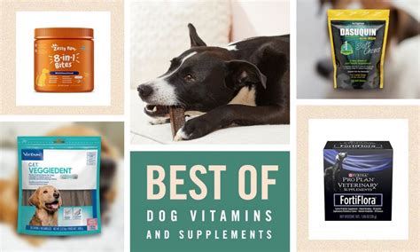  Having the presence of supplements will help the puppy to develop into a healthier adult