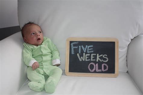  He is now 5 weeks old