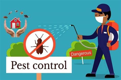  Health checkup and treatment against pests Your new guest can easily fall prey to different pests like ticks, fleas, lice etc