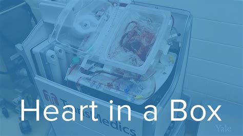  Heart in a Box Expands Transplant Opportunities