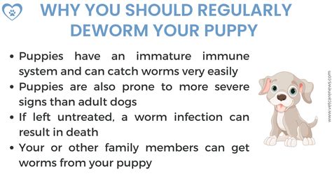  Hence it is advisable to deworm your newborn puppies immediately they are born and about four weeks after they are born to eradicate the presence of any inborn parasites