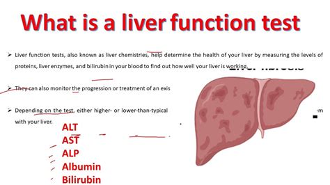  Hepatic parameters AST, ALP, bilirubin, cholesterol, glucose, albumin, and total protein showed no significant alterations over time with treatment