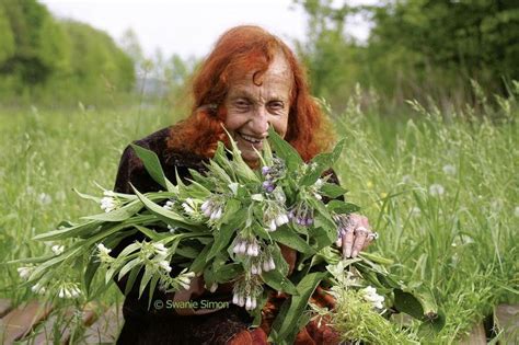  Herbalist Juliette de Bairacli Levy uses violet leaf as a poultice … along with an infusion of the leaf and flower to remove any type of cyst or lipoma