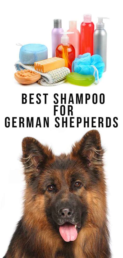  Here are my top four best shampoos for German Shepherds