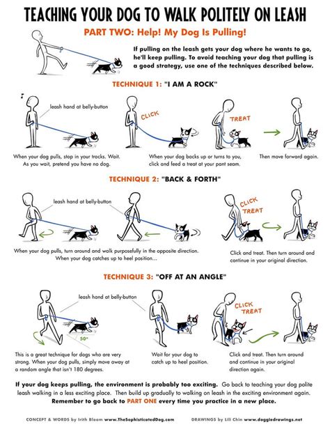  Here is a great leash training article from the American Kennel Club