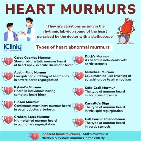  Here is a list of some causes of dog heart murmur Abnormality of the heart Incomplete closing of a valve Narrowing of the arteries Diagnosis of Dog Heart Murmurs Can Show Possible Life Expectancy Heart murmur for dogs is graded on a scale of 1 — VI and is based off of the sound and vibration of the heart murmur