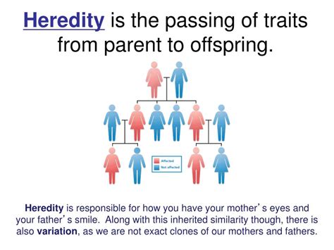  Heredity: Parents that produced large litters will not necessarily mean that their offspring will be able to do the same