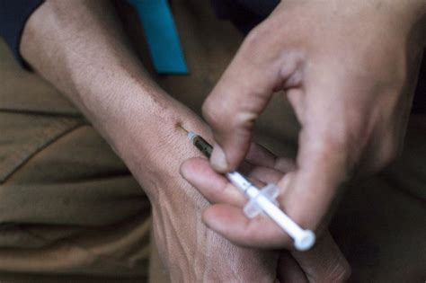  Heroin will show in the blood for up to days