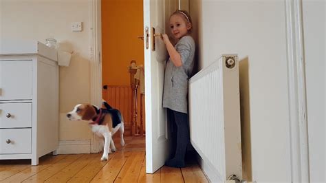  Hide and seek — Dogs love this popular game almost as much as kids