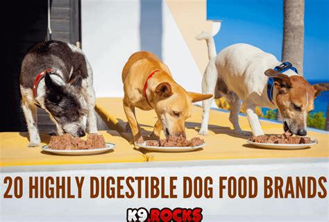  High Digestibility: The dog food should be highly digestible to ensure your pet absorbs the maximum nutrients from each meal