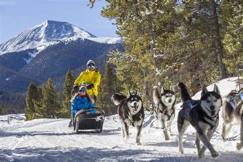  Hiking, biking, and even sledding are great options for this dog