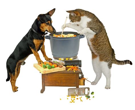  Home Cooking Owners decide to home cook for their dogs for a variety of reasons: It can be less expensive; though, this depends quite a bit on what you buy and if you can purchase ingredients in bulk