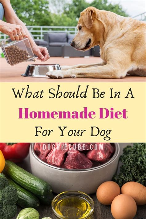  Homemade Diet: Homemade diets can help you save money