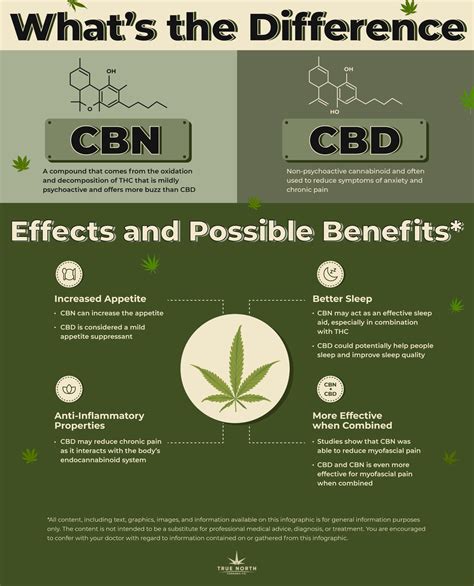  Hopefully this brief run-down provides a basic understanding of what CBD is and how it works
