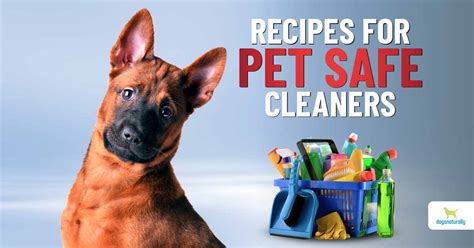  Household Cleaning Products Many dogs naturally lie on the floor, on the furniture, bathe in the bathtub and even counter surf