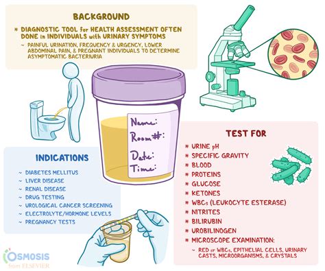  How Do Urine Analysis Work? When you take urine analysis UA drug tests, you must pee in a cup