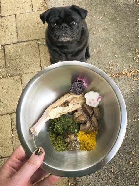  How Much to Feed a Pug Pugs should be fed based on their body size to avoid overfeeding