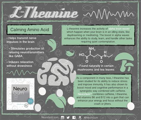  How does L-Theanine work to calm down a hyper dog? L-Theanine is an amino acid that can be found in green tea