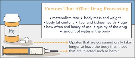  How long do opiates take to break down metabolize? Different opiates take different amounts of time to break down