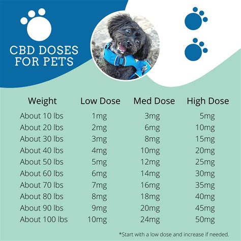  How much CBD can I give my dog? Administer CBD based on your dogs weight, then adjust the dose as needed
