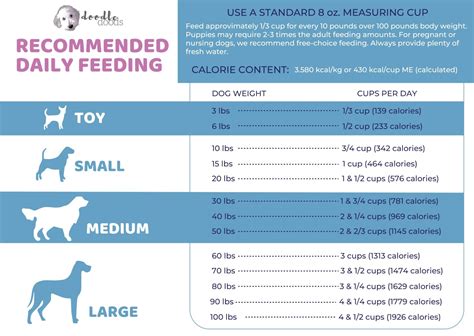  How much should I feed my underweight Frenchie? Increase the amount of food you are feeding your dog up to between calouries per g 1lb of body weight until they are at their ideal weight